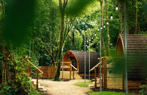 Dolgarrog Other | Adventure Parc