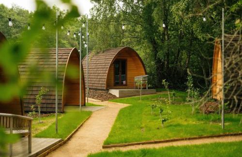 Dolgarrog Other | Adventure Parc
