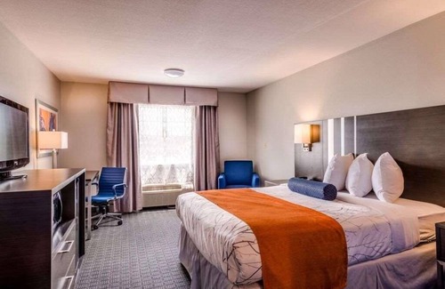 Lexington Hotel | Affordable Getaway! Free Parking, Free Breakfast, Pool, Near Castlewood Park
