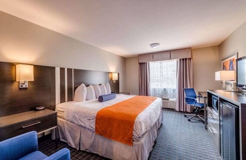 Lexington Hotel | Affordable Getaway! Free Parking, Free Breakfast, Pool, Near Castlewood Park