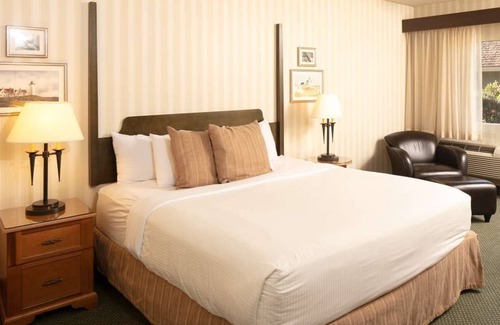 Wilburton Hotel | Affordable Lodging! Breakfast Included! Near Meydenbauer Bay Park! Pets Allowed!