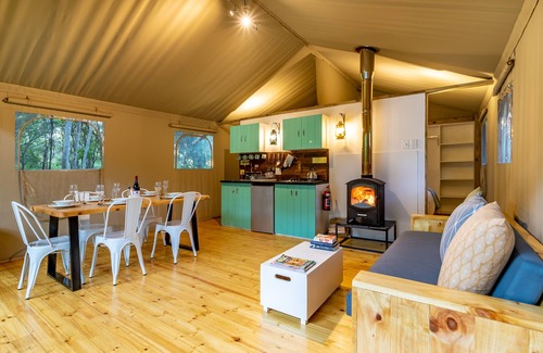 Thorny Bush Game Reserve Other | Africamps at Hoedspruit