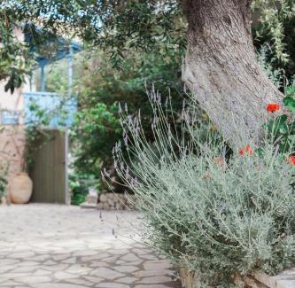 Agios Nikitas Apartment | Afroditi Pansion