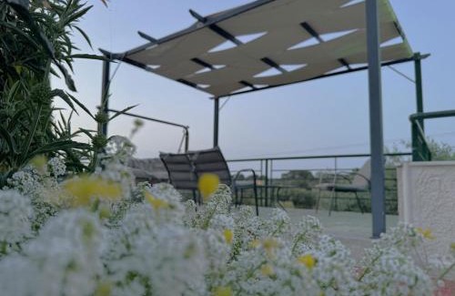 Sithonia Apartment | Afroditis House