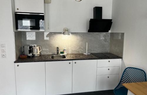 Grand Clement Apartment | Agatha : ACCES FACILE GARE PARDIEU/EUREXPO/AEROPORT/GROUPAMA STADIUM