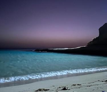 Marsa Matruh Apartment | Ageeba Beach Chalet 16
