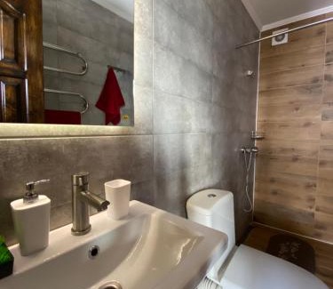 Slavske Hotel | AGORA Chalet