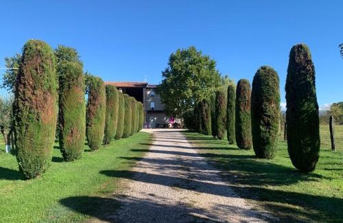 Pescantina Apartment | Agriturismo Corte Bonetti - Appartamento i Cipressi