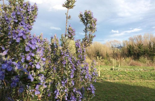 Carpena House | Agriturismo Il Pettirosso