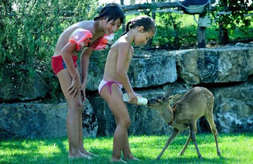 Scansano House | AGRITURISMO PODERUCCIO
