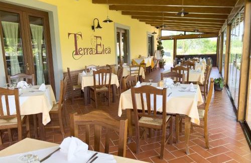 Ascea House | Agriturismo Terra Di Elea azienda agricola di Raimondo MIchela