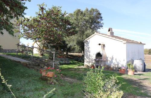 Magliano in Toscana House | Agriturismo tinti