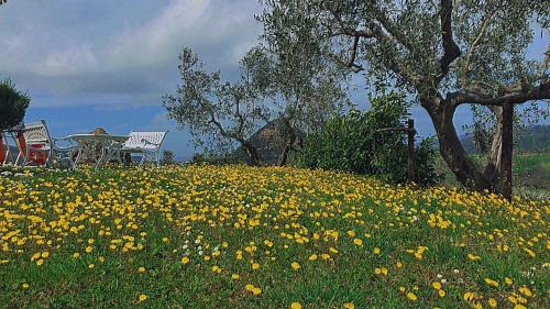 Volterra Apartment | Agriturismo Villa Felice