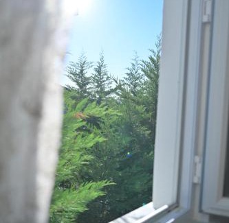 Arnavutkoy Cabin | Ahmet teacher's villa, 6 minutes from the airport