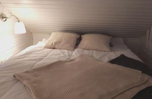 Yllasjarvi Apartment | Aikku cabin in the heart of Lapland, free Lapin Kota, Budget week