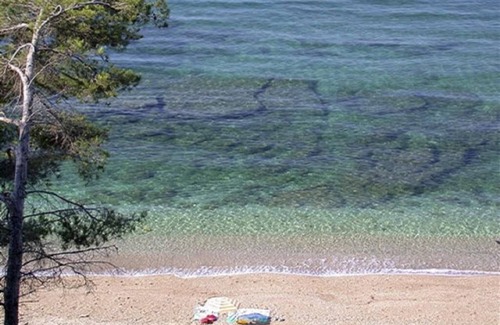 Le Pradet Apartment | Air-conditioned studio near Les Bonnettes & Monaco beaches