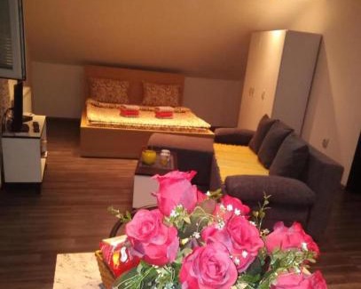 Surcin Apartment | Airport Happy House