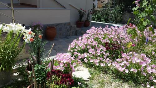 Koroni Apartment | Akti Zaga Apartments
