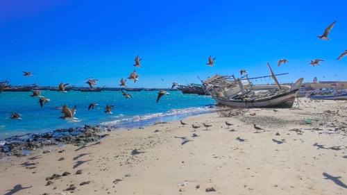 Al Ashkharah House | Al Ashkhara Beach House