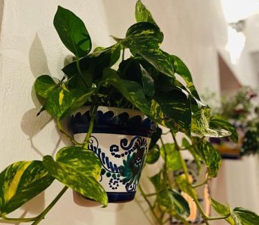Almodovar del Rio Bed & Breakfast | Al-Mudawar Casa Rural