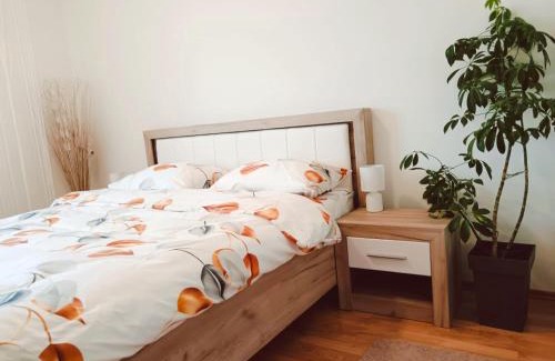 Novi Sad Apartment | Alacaster apartment with PRIVATE PARKING