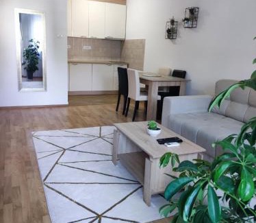 Novi Sad Apartment | Alacaster apartment with PRIVATE PARKING