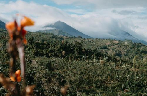 Gobleg Other | Alam Munduk Glamping