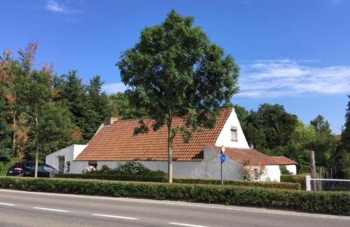 Koksijde Bed & Breakfast | Albatros