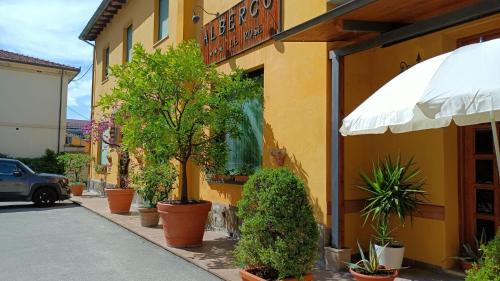 Pistoia Hotel | Albergo Le Rose