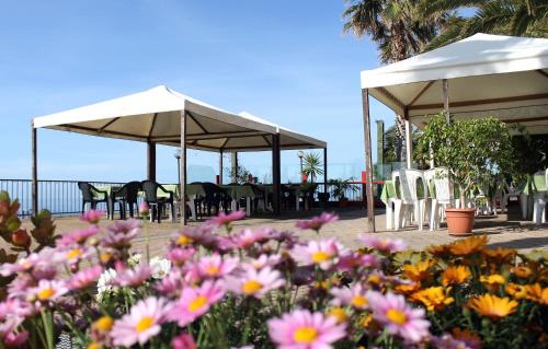 Santo Stefano al Mare Hotel | Albergo Ristorante Lucciola