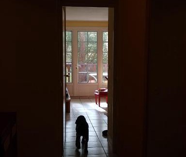 Moliets-et-Maa Apartment | Albertine appt 112