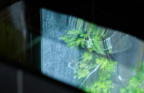 Nishinari House | Alchemy 0