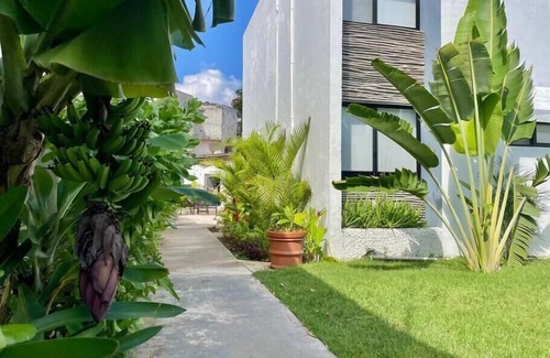 Downtown Cancun Apartment | ✻ Aldeazul 6 ✻ Estudio céntrico con Wi-Fi y A/A