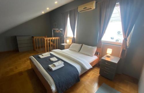 Zemun Apartment | Aleksei Apartmani
