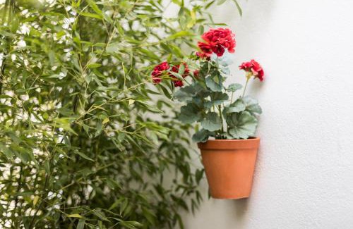 Alfama Apartment | Alfama Design Villa