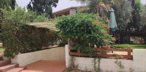 Alghero Apartment | Alghero Guest House - Appartamenti in Seminterrato in Villetta di Campagna, Piscina fuori terra a 4 minuti di auto dalla città