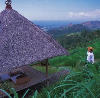 Melayang Resort | Alila Ubud