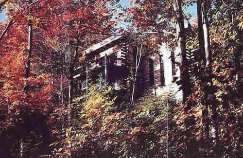 Mount Holly Cabin | All Season Three Level Log Vacation Home On 21 Acres Between Okemo & Killington!