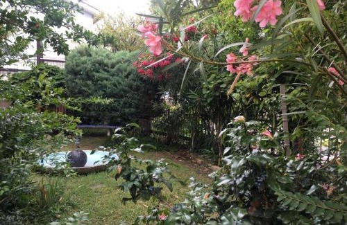 Rovigo Bed & Breakfast | Alla Rotonda dai Santi