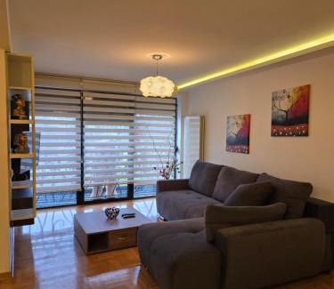 Krusevac Apartment | Alo Alo Apartman 1
