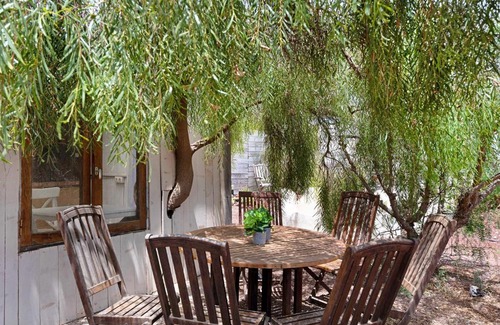 Teguise House | Aloe Art