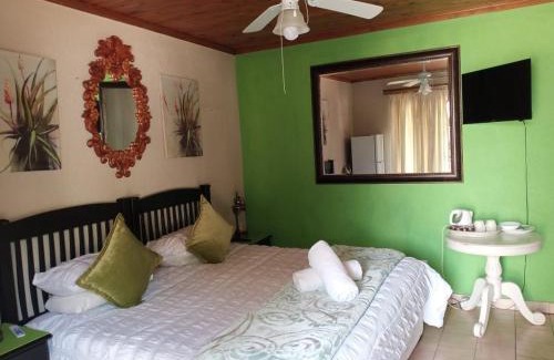 Krugersdorp House | Aloe Tree Guest House