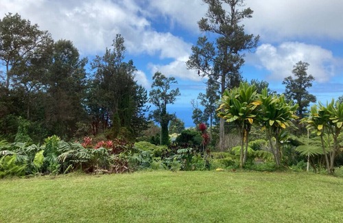 Kailua-Kona Apartment | Aloha Suites ~ 2 Bedrooms~ Cloud Forest
