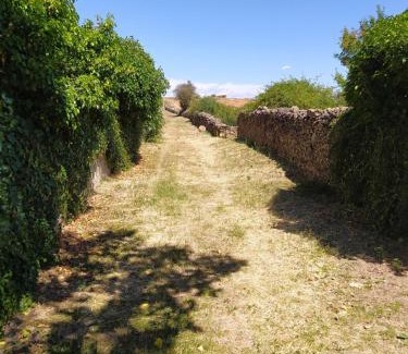 Noviercas House | Alojamiento Rural La Arboleda