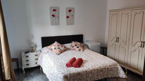Quesada Apartment | Alojamientos Capri