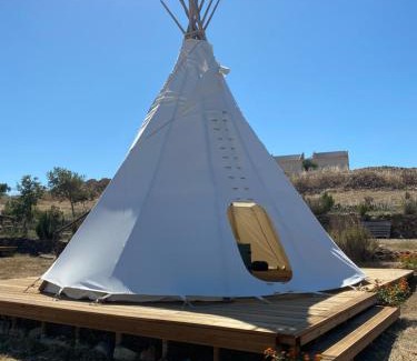 Grandola Bed & Breakfast | Alpaca Farm And B&B - Mama Adama
