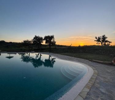 Grandola Bed & Breakfast | Alpaca Farm And B&B - Mama Adama