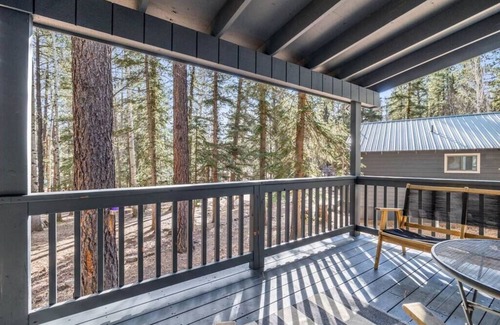 Greer Ski Chalet | Alpine Aspen Cabin 5