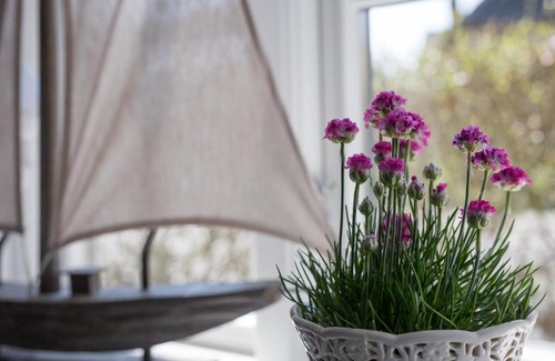 Witzwort Apartment | Alte Werkstatt