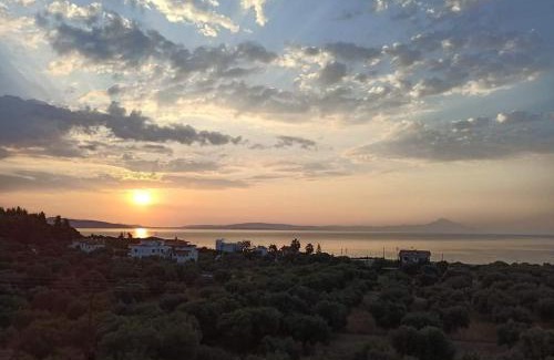 Sithonia Apartment | Althea Three - Sithonia Chalkidiki 250m from the beach